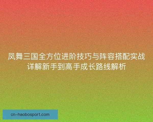 凤舞三国全方位进阶技巧与阵容搭配实战详解新手到高手成长路线解析