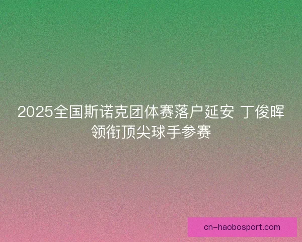 2025全国斯诺克团体赛落户延安 丁俊晖领衔顶尖球手参赛