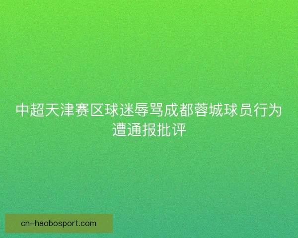 中超天津赛区球迷辱骂成都蓉城球员行为遭通报批评