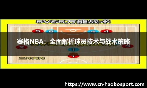 赛格NBA：全面解析球员技术与战术策略