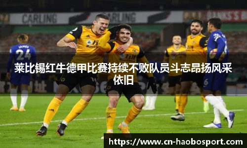 莱比锡红牛德甲比赛持续不败队员斗志昂扬风采依旧