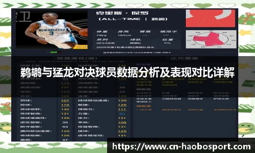 鹈鹕与猛龙对决球员数据分析及表现对比详解