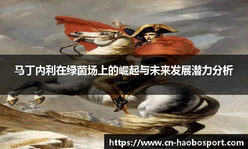 马丁内利在绿茵场上的崛起与未来发展潜力分析